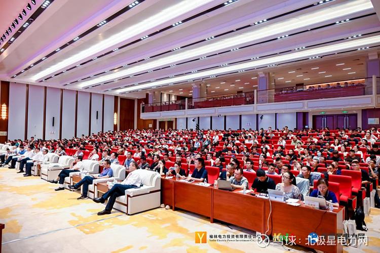 储能概念股龙头林洋能源_2019电化学储能大会_