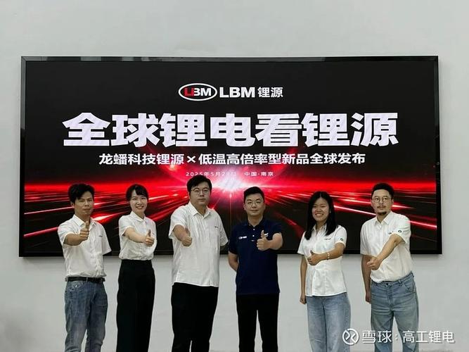 资本 | 缘起磷酸铁锂, LG新能源和龙蟠科技终于结对子了_资本 | 缘起磷酸铁锂, LG新能源和龙蟠科技终于结对子了_