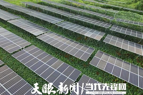 青山控股集团新能源电池_青山光伏有限公司电话_